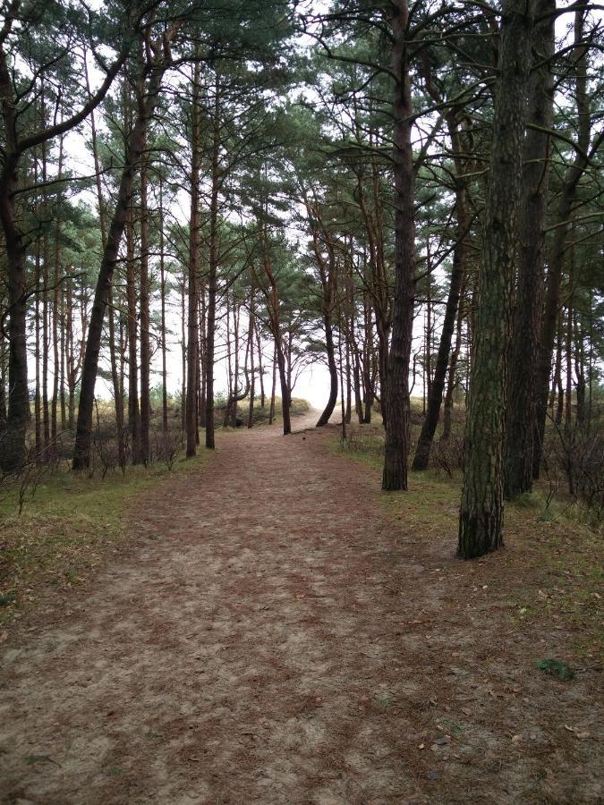 Ferienwohnung Am Kustenwald Trassenheide Buitenkant foto