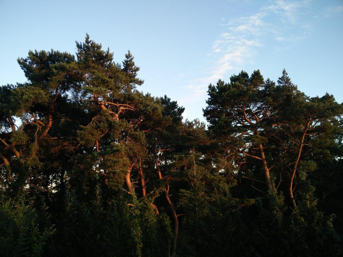 Ferienwohnung Am Kustenwald Trassenheide Buitenkant foto